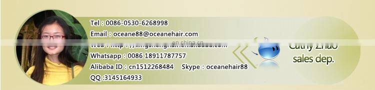 Factory price fashional virgin dark brown bohemian remy clip in human hair extension