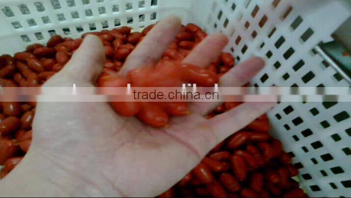 sausage cutter machine speed 1800PCS/min