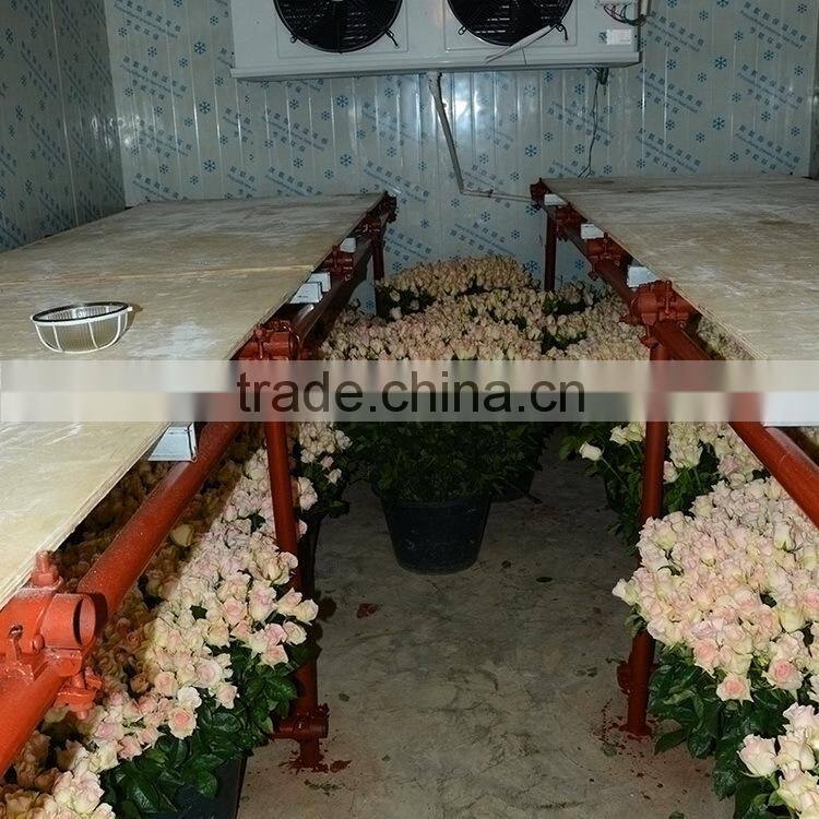 Love theme latest flower violet fresh cut flowers