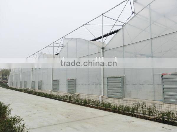 JP Hot Dipped Galvanized Plastic Green house