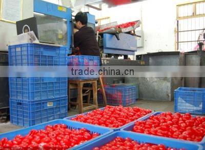 Hot Selling High Quality Colorful Pig Head Splat Ball