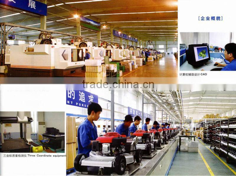 EPA Low Emission Gasoline Engine 1E36F-2E