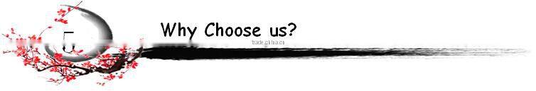 cell phone accessory 5v 1a usb wireless adapter chinese manefacturer usb adapter