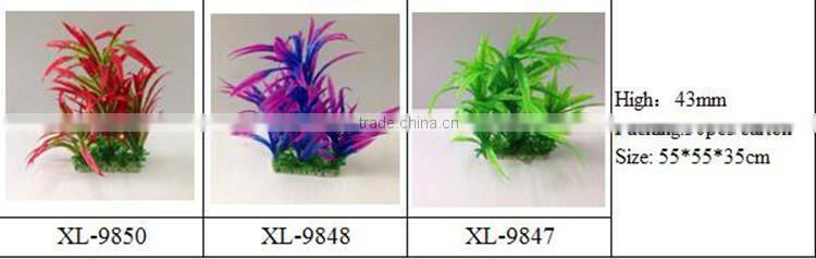 aqua plants water plants for sale