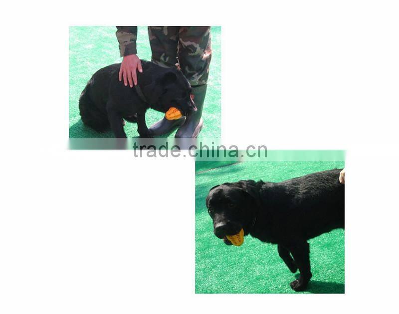 lowest price popular puppy