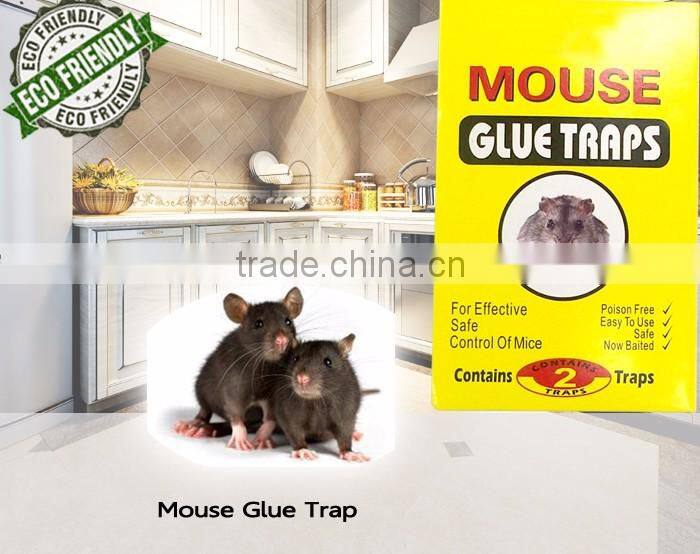 Mouse Glue Trap HD037115