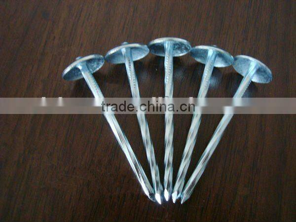 Twist shank roofing nails