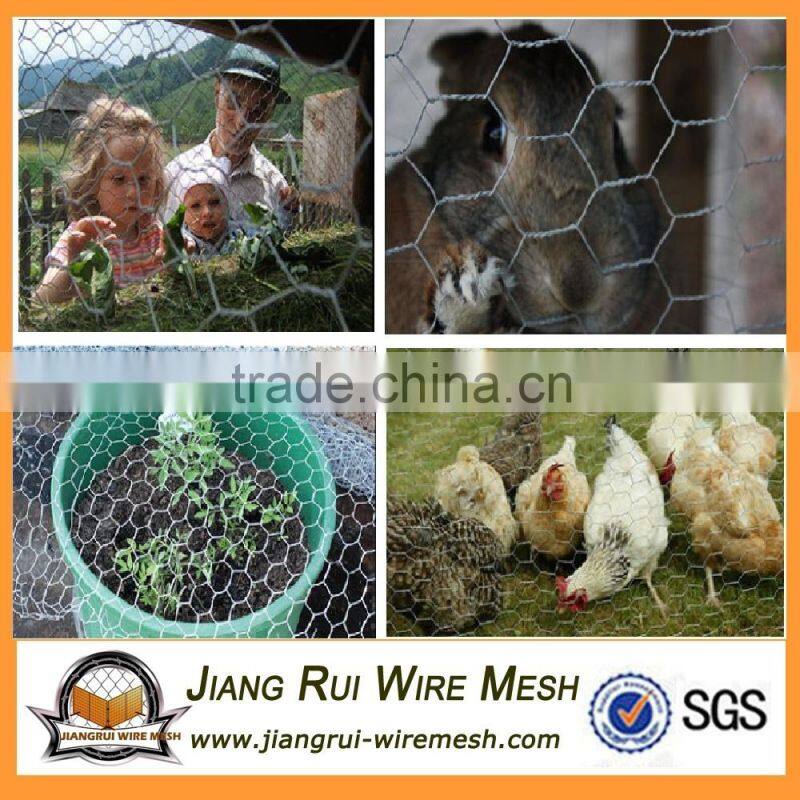Galvanized Hexagonal Wire Mesh Chicken Wire Mesh