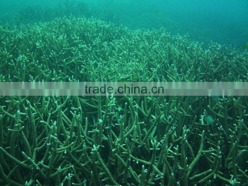 Cheap price underwater 30M 4k action camera dash cam free laptop games downl camera