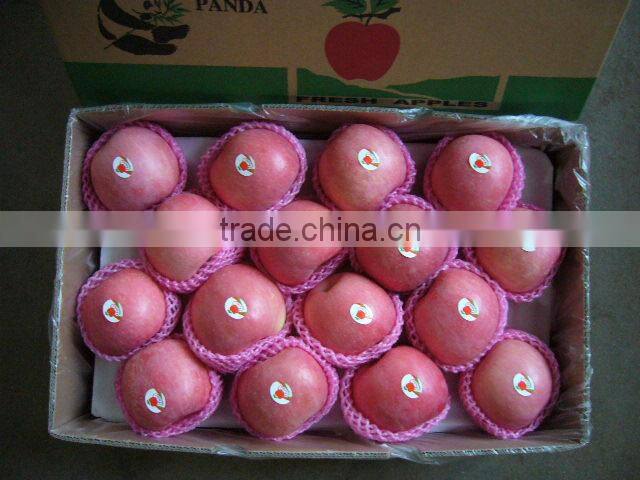 Fruit Apple Fresh Red uji Apple