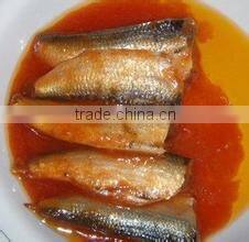 inexpensive 425g packing seafood canned sardines in tomato sauce
