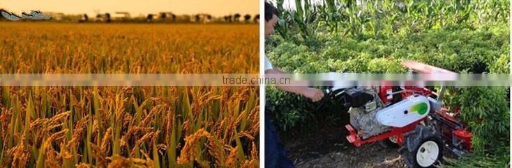 Harvester machine mini rice harvester chili harvesting machine