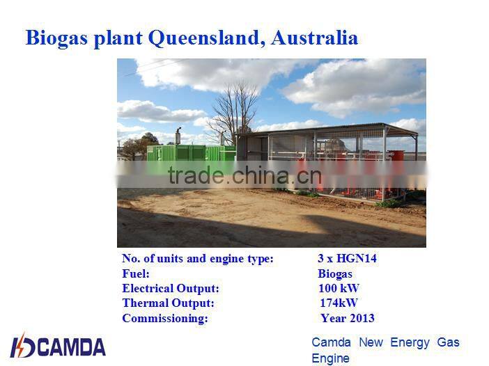 biogas generator 100KW/biomass generator/waste to energy 60Hz