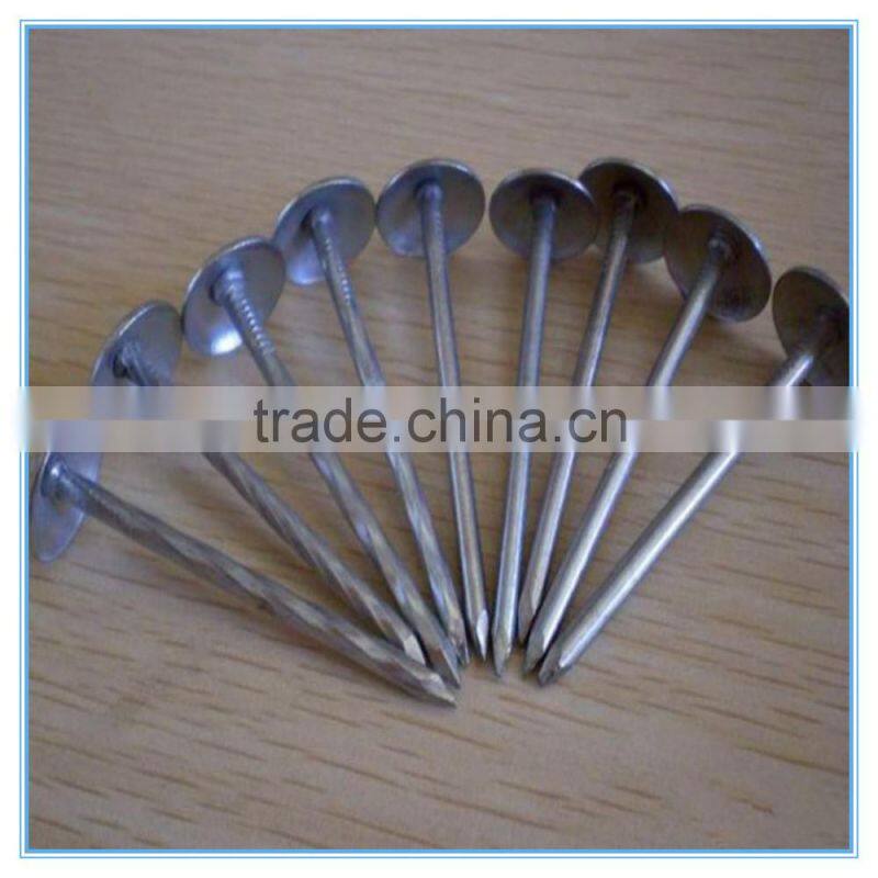 Galvanized Umbrella Head Roofing Nails With Smooth/Twist Shank by Low Price