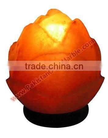 CRAFTED CRYSTAL SALT LAMPS