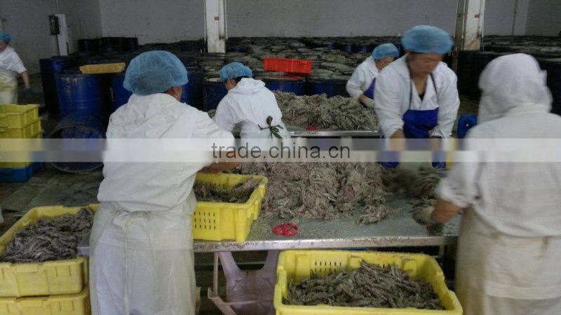 Spain processing way salted anchovy fillets