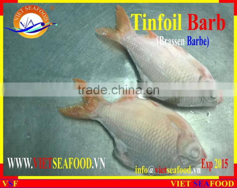 FROZEN W/R RED TAIL TINFOIL BARB