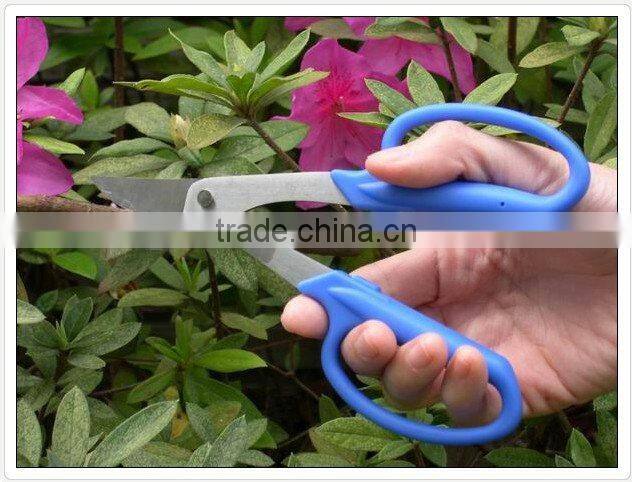 Scissors