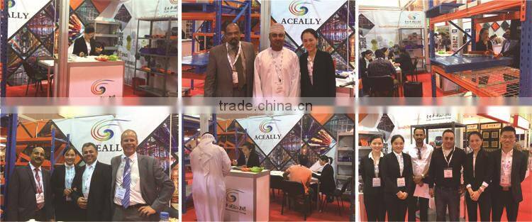 Drive-in Rack with Forklift in Material Handling Equipment