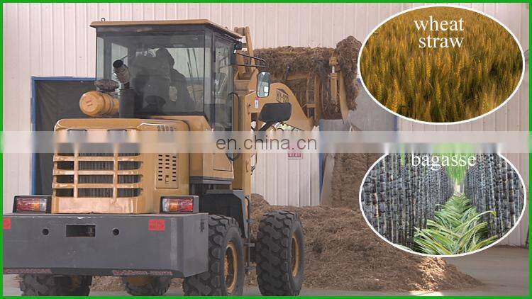 2015 Hot Biodegradable Eco-friendly Pizza Pan