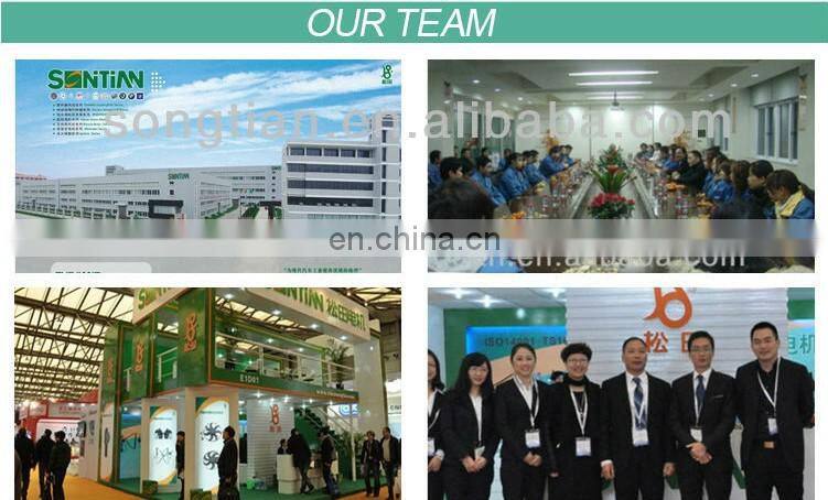 China Wenzhou Songtian High Performance Starter motor 6405.G7