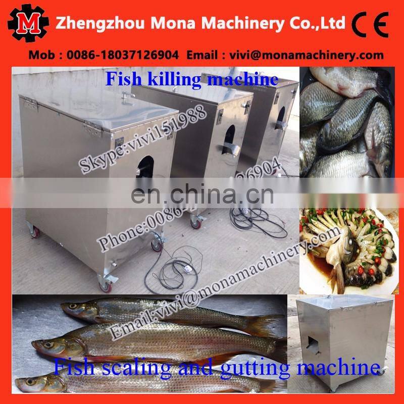 automatic small fish cleaning machine|anchovy fish killer machine|Tilapia gutting machine