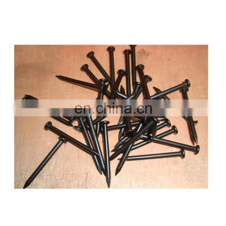 Factory Directly twist concrete nail for sell
