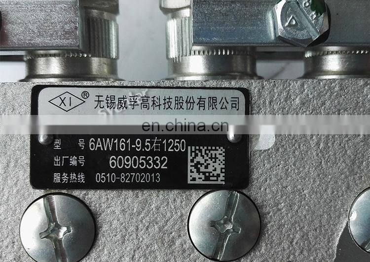 China Jiangsu Wuxi Weifu Fuel Injection Pump 375-1250 6AW161 3971477 for 6BT