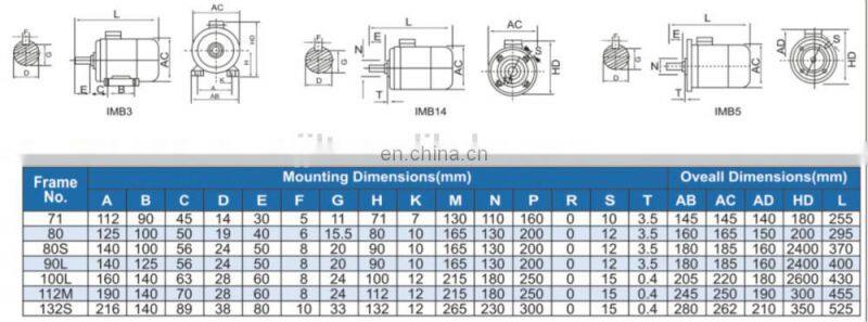 240v 60HZ 3.7KW single phase induction moroe two-capacitance