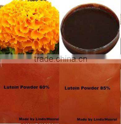 Marigold Extract Lutein Oleoresin