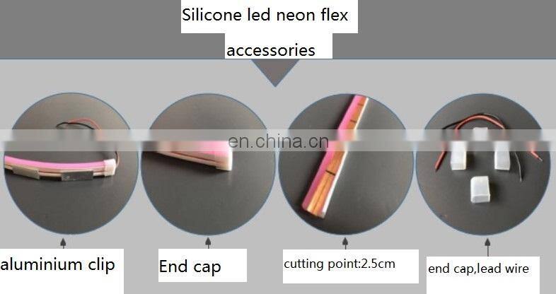 12V 24V LED Neon Flex 120LEDs/m 6x12mm Strip Neon light for car