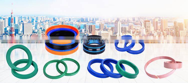 OEM Accepted Different Type Excavator Dust Seal Kit For Boom Arm Bucket Cylinder Hydraulic DHS  Oil Seal