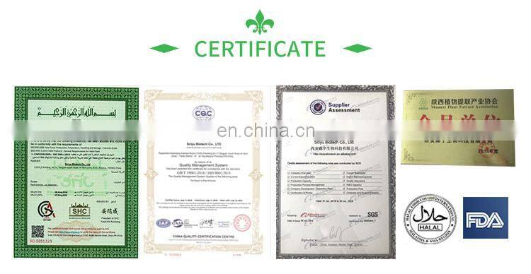 80% silymarin milk thistle extract powder free sample