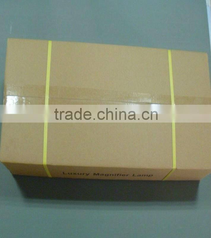 5x Magnifying Lamp With Stand