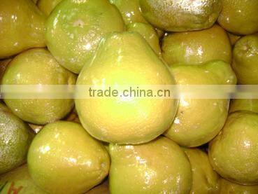 Honey pomelo supplier