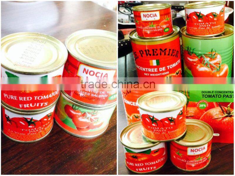 Factory supply high concentrated 70g-3KG CANNED TOMATO PASTE
