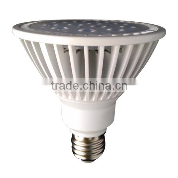 BLL-P62-PAR30 LED light solar spot light