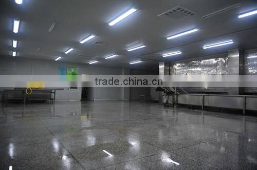 Frozen Ribbon fish WR