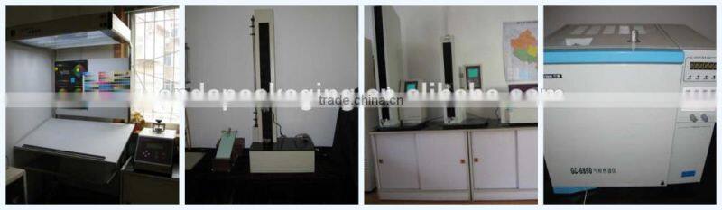 Liquid stand up pouch with spout /plastic water bag /fruit juice packaging bag