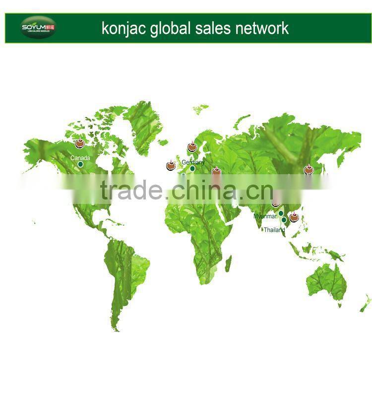 Shirataki Ready to Eat Noodles Konnyaku Konjac Knots Vegetarian Noodles