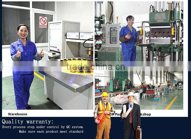 2015 New types Lightning arrestors for transformer