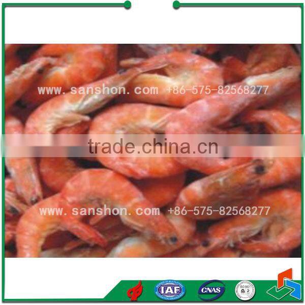 Tunnel type Blast Freezer Dumpling IQF Tunnel Freezer