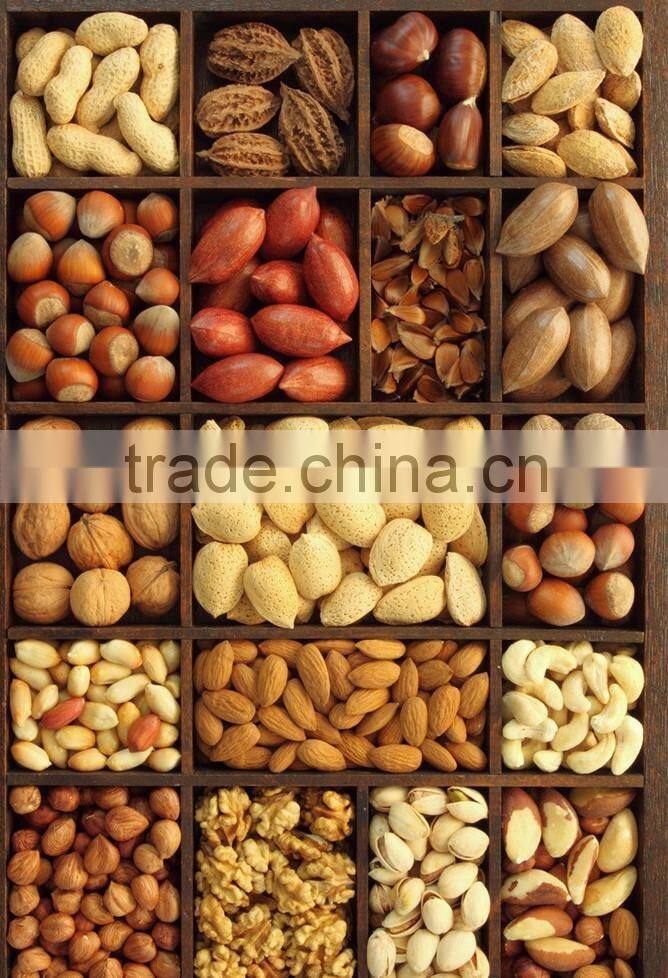 Hot and cold oil press machine suitable for a variety of raw materials