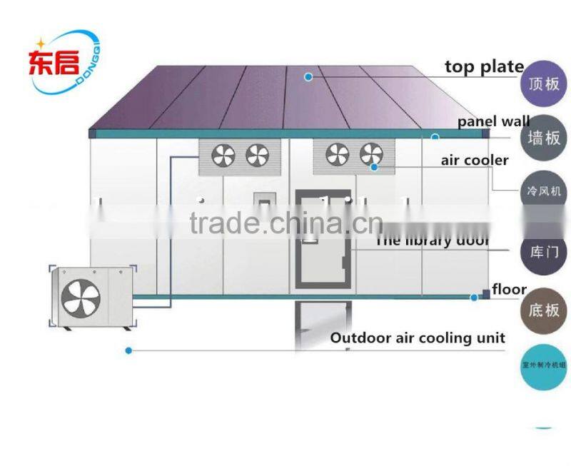 cold storage/cold room/ freezer room