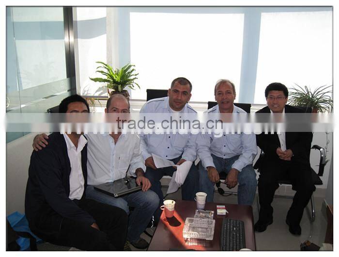 300kW syngas generator/cogeneration equipment/biomass gasification power plant