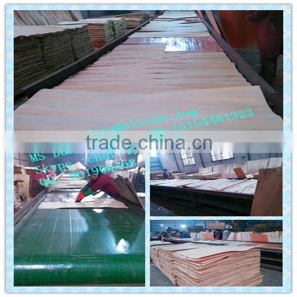 20mm black film faced plywood