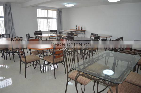 Bedroom Furniture durable and strong T/F metal bed/bunk bed for kids