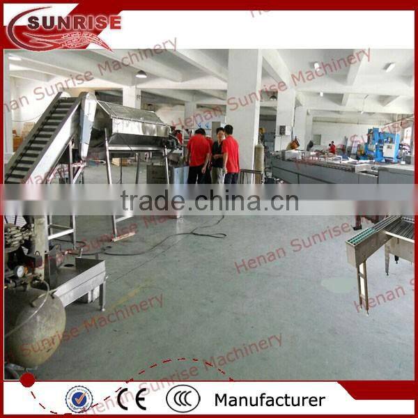 16 Promotion activity egg grading and packing equipment 0086 13721438675