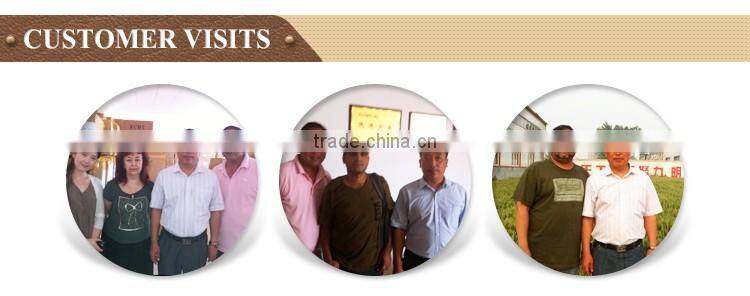 New fashion women's winter goatskin C grade leather gloves made in China