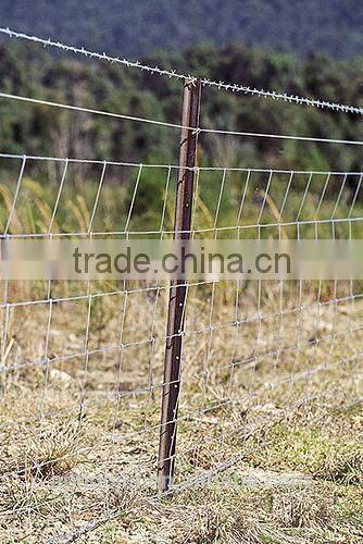 Cattle sheep annimal fence/field fence (manufacture)